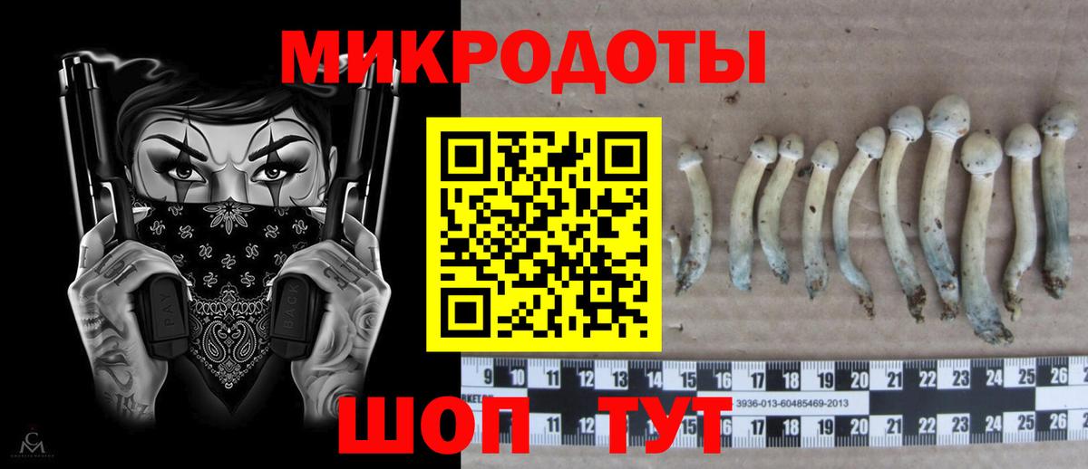 Нижнеудинск  Галлюциногенные грибы Magic Shrooms  Псилоцибиновые грибы Cubensis  Вход с VPN 